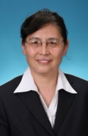 李鲁扬