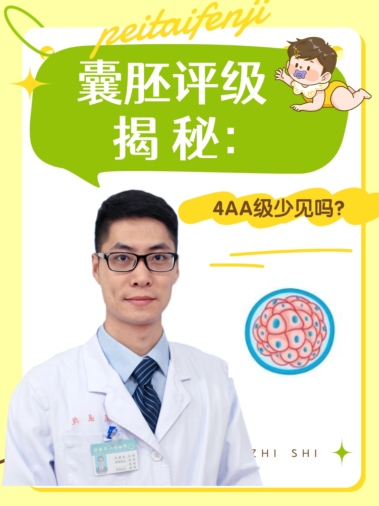 囊胚评级揭秘：4AA级少见吗？