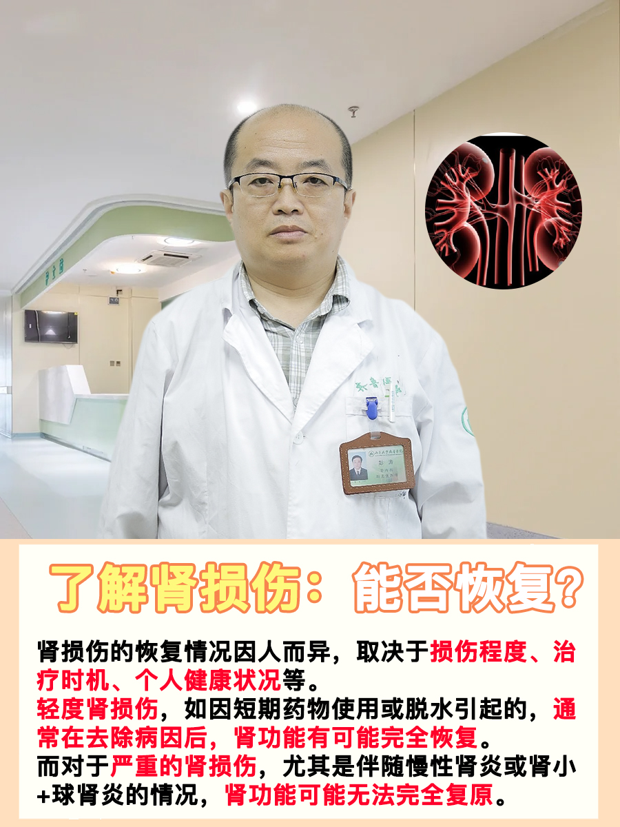 了解肾损伤：能否恢复？
