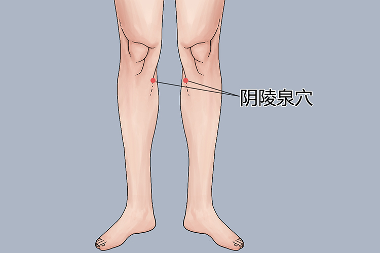 阴陵泉穴位置手绘图