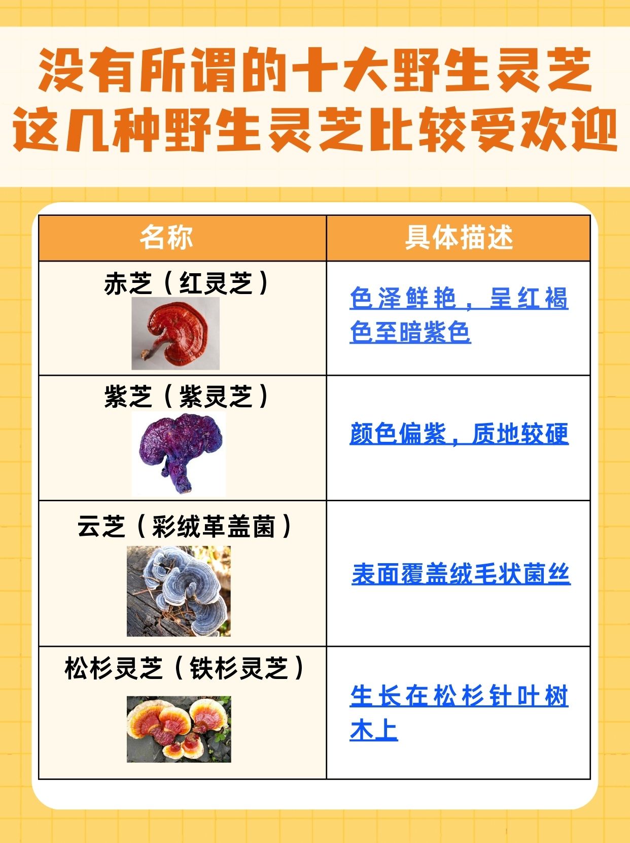 十大野生灵芝品种图片