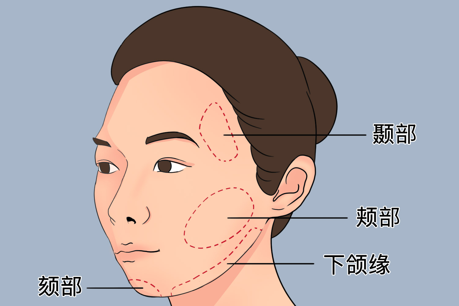 颊部在哪个位置图片图片