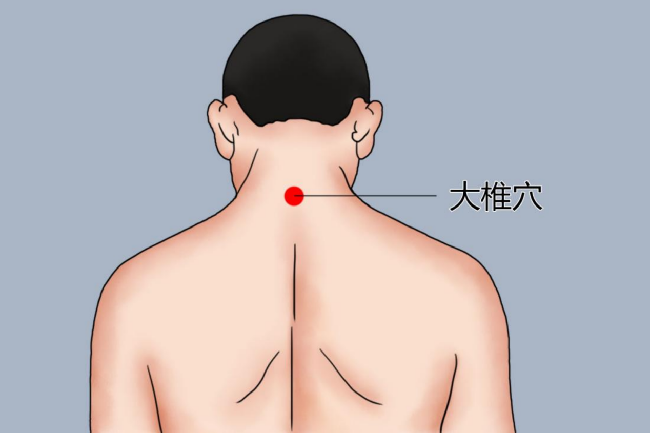 大椎穴位置图