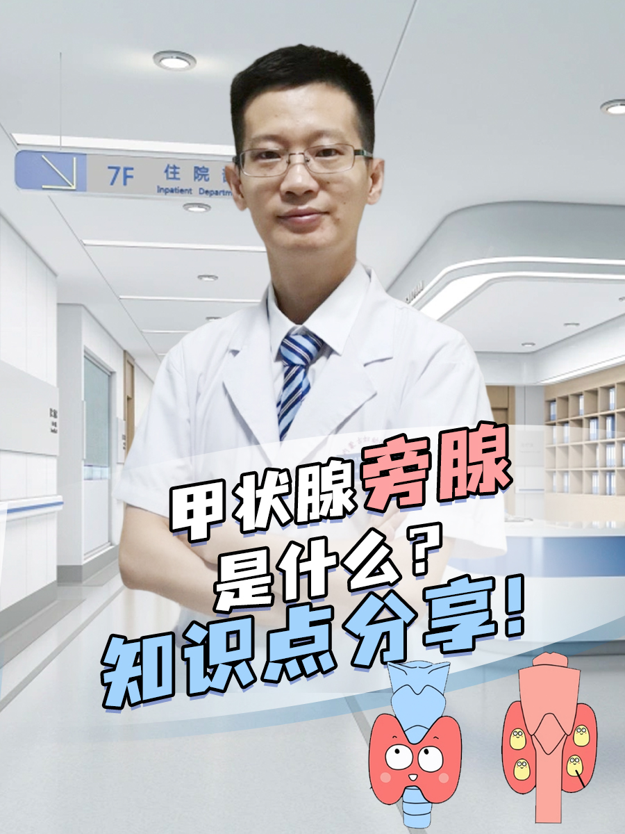 甲状腺旁腺是什么？知识点分享！