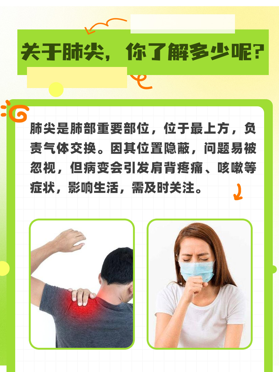 关于肺尖，你了解多少呢？