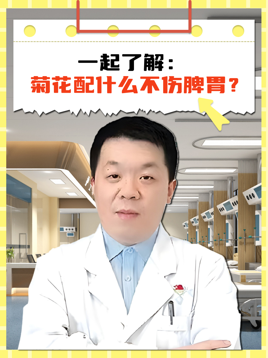 一起了解：菊花配什么不伤脾胃？