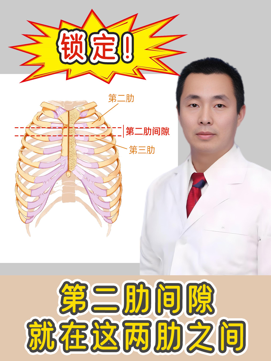 锁定！第二肋间隙就在这两肋之间