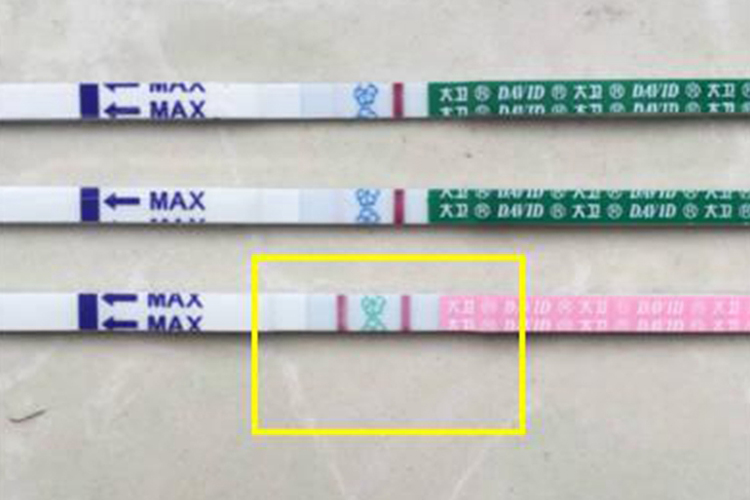 排卵试纸强阳图