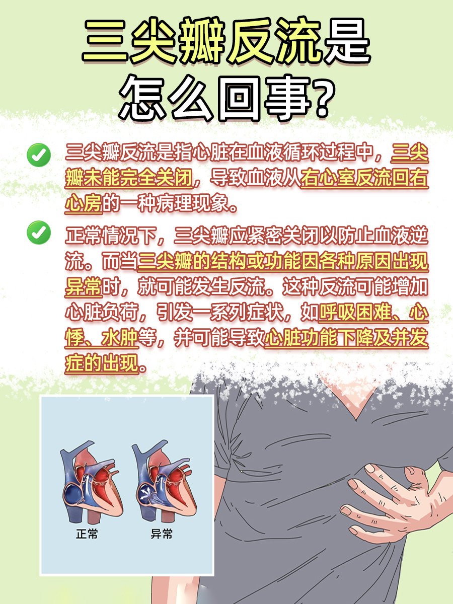 心脏健康指南：三尖瓣反流是什么意思