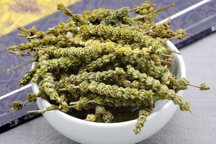 荆芥穗干燥前图