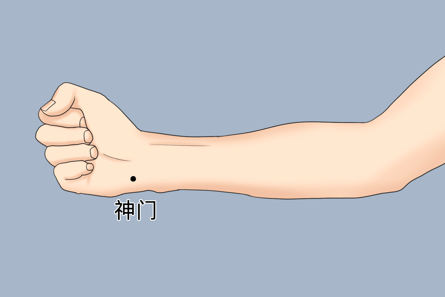 神门穴位置图 神门穴位置图