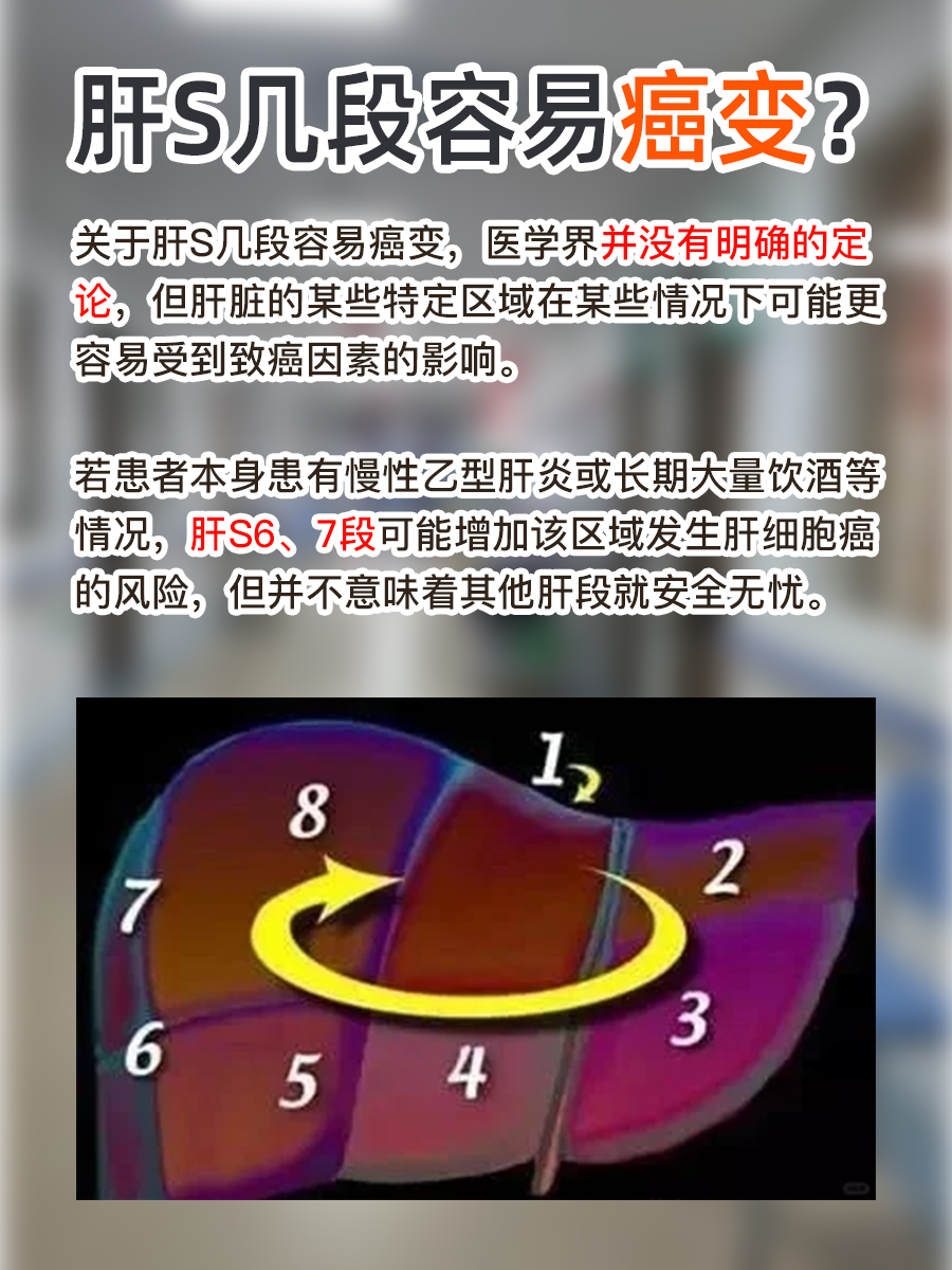 肝脏结构与癌变风险:肝S几段容易癌变?