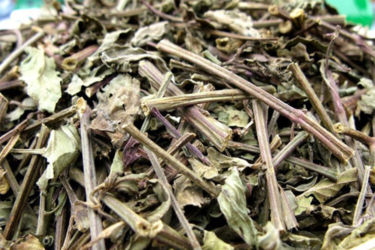 结石草干燥后药材图