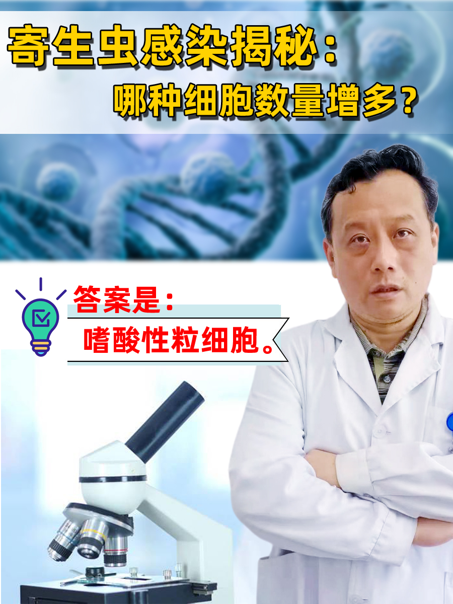 寄生虫感染揭秘:哪种细胞数量增多?