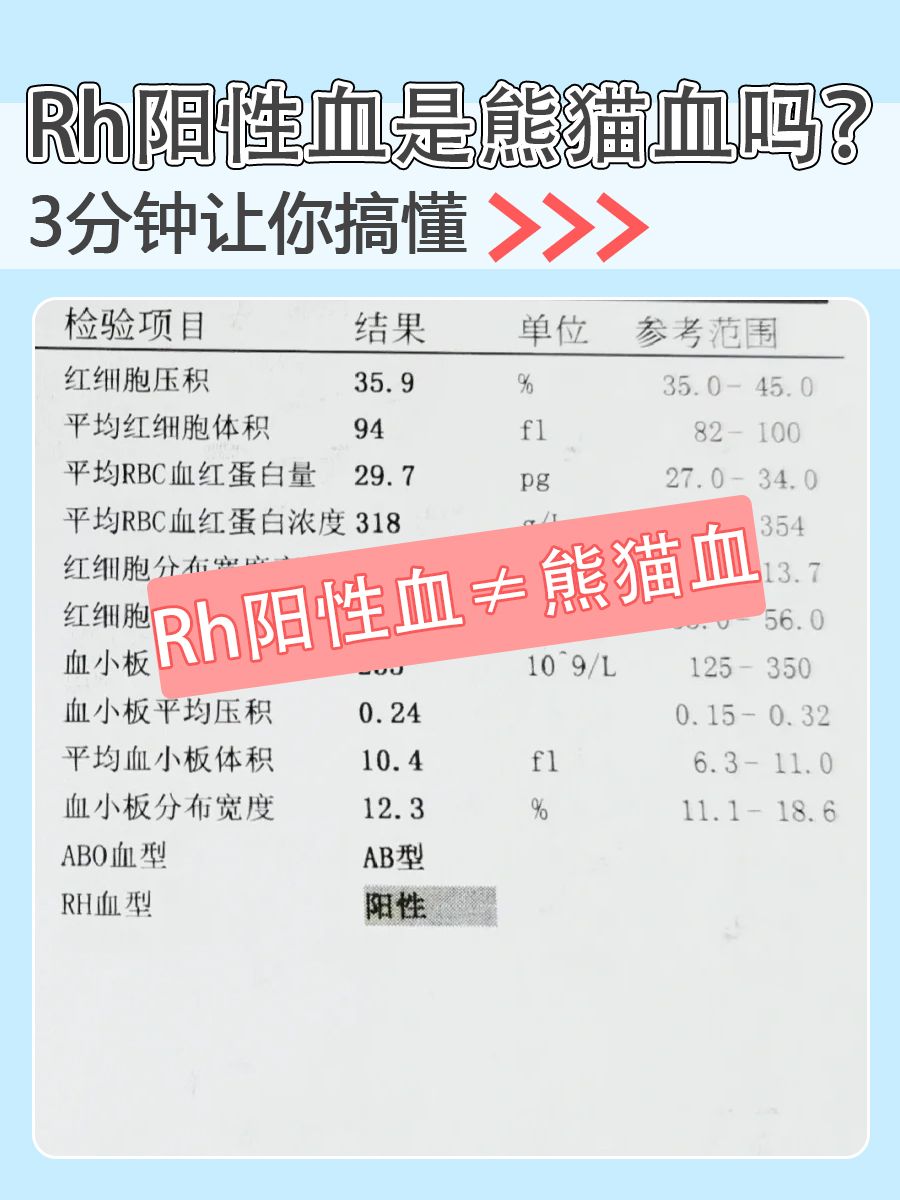 Rh阳性血是熊猫血吗？3分钟让你搞懂