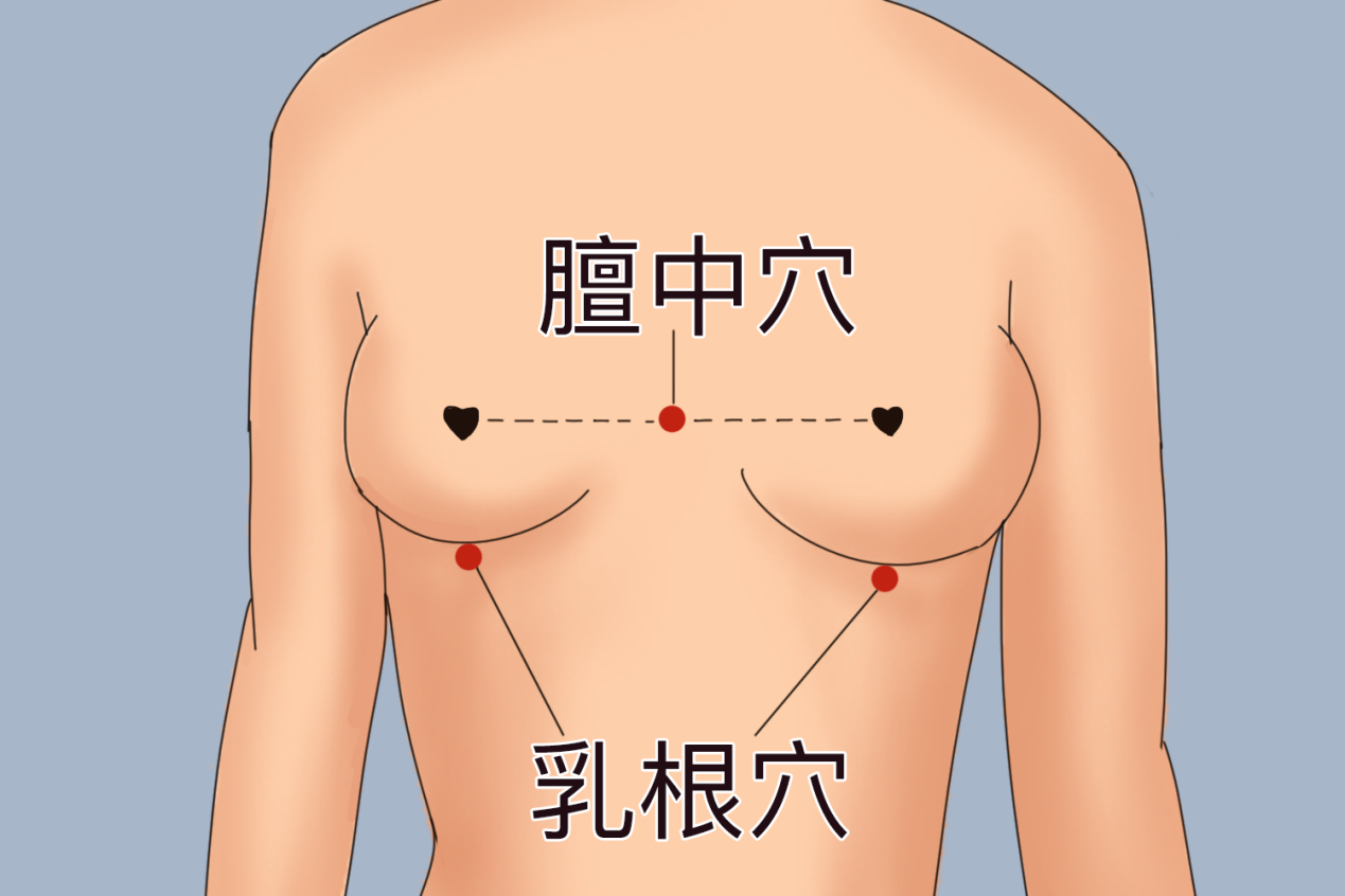 膻中穴、乳根穴位置图