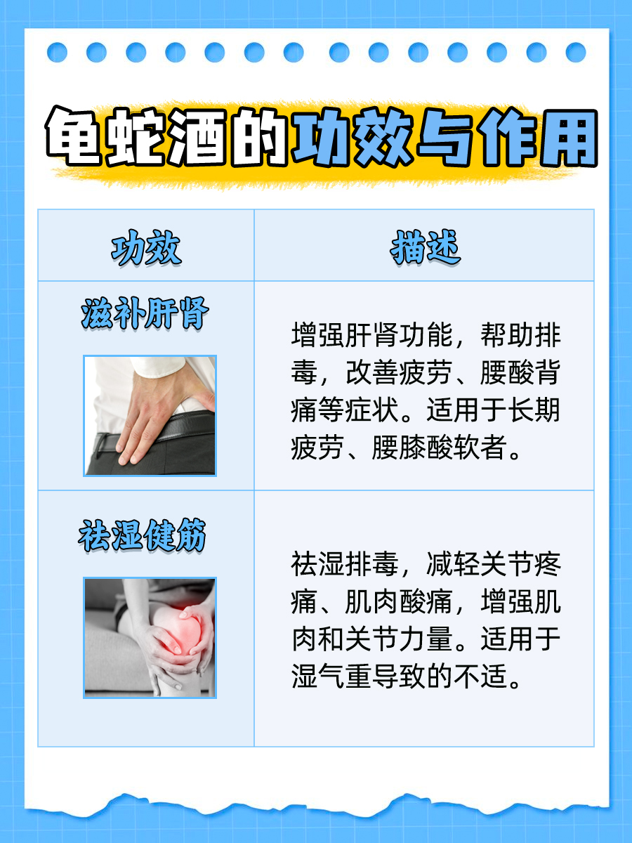 一文讲清：龟蛇酒有什么功效与作用？