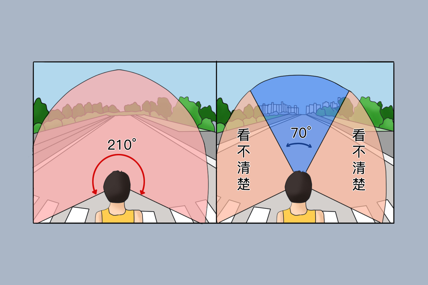 扇形视野缺损图