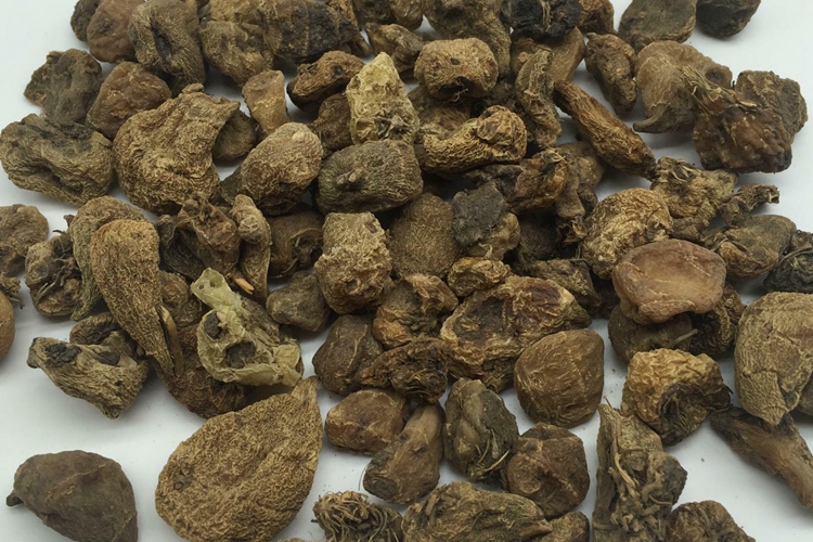 山慈菇图 山慈菇图