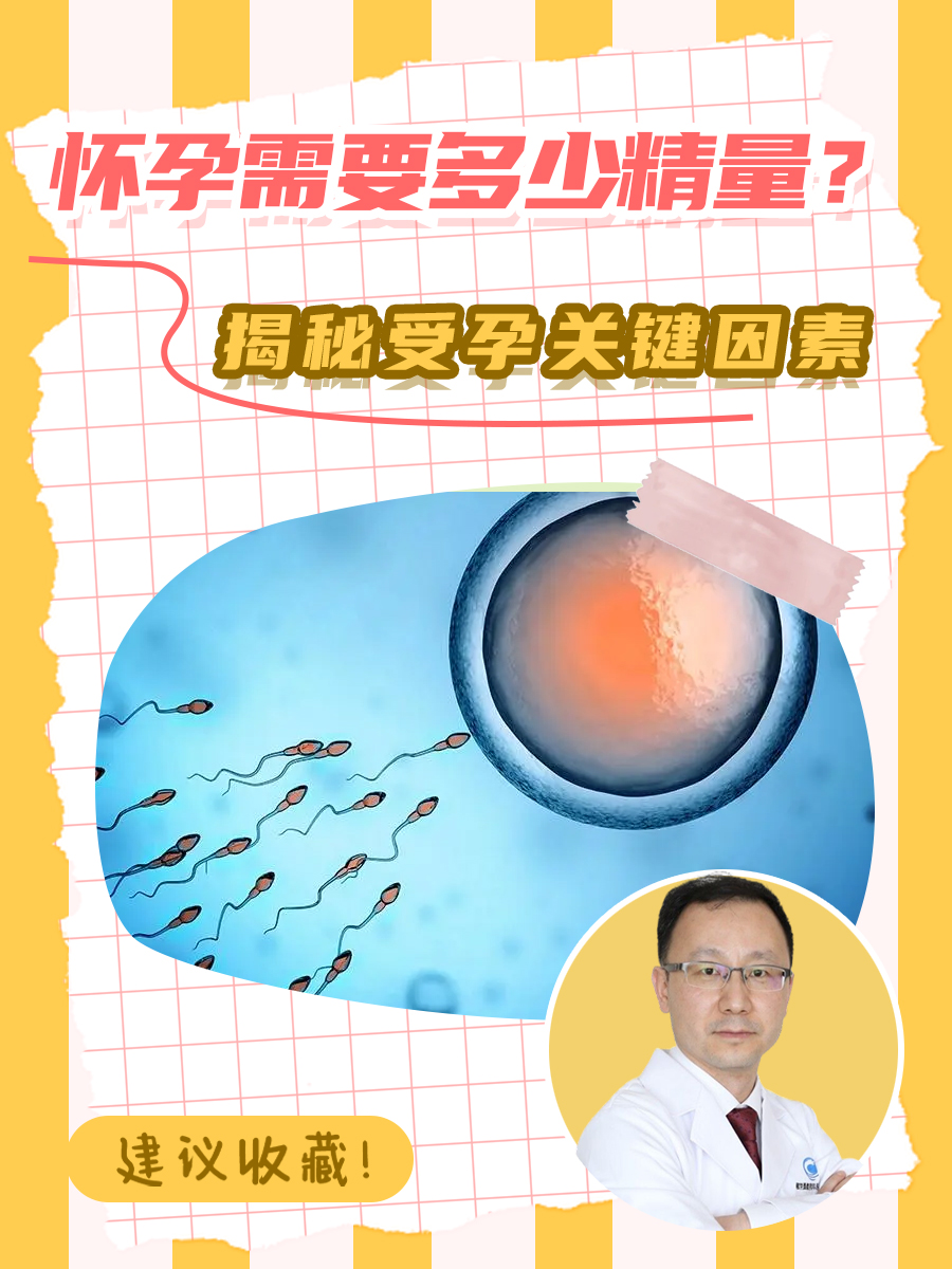 怀孕需要多少精量？揭秘受孕关键因素