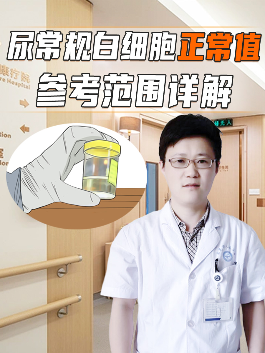 尿常规白细胞正常值：参考范围详解