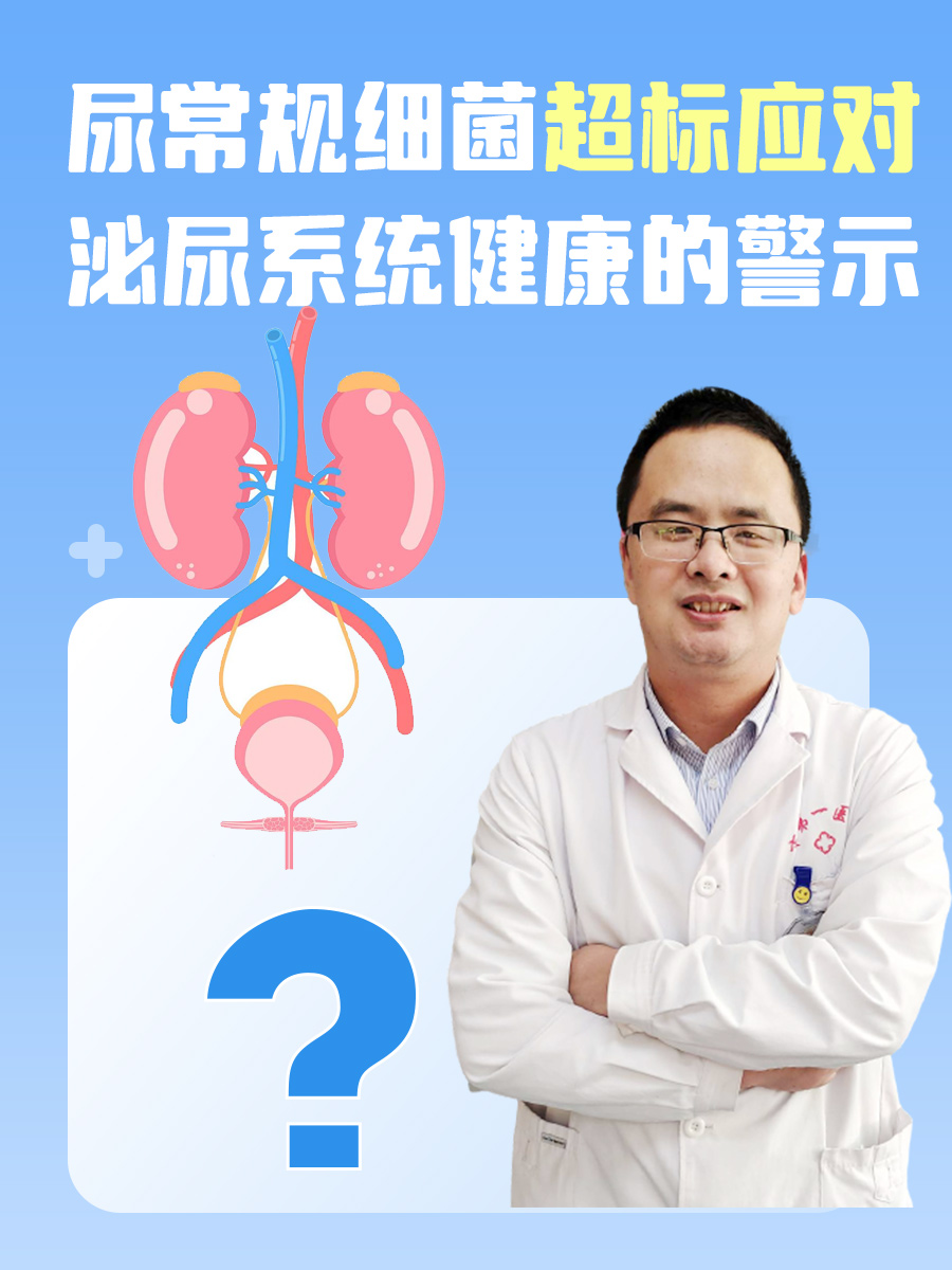 尿常规细菌超标应对：泌尿系统健康的警示