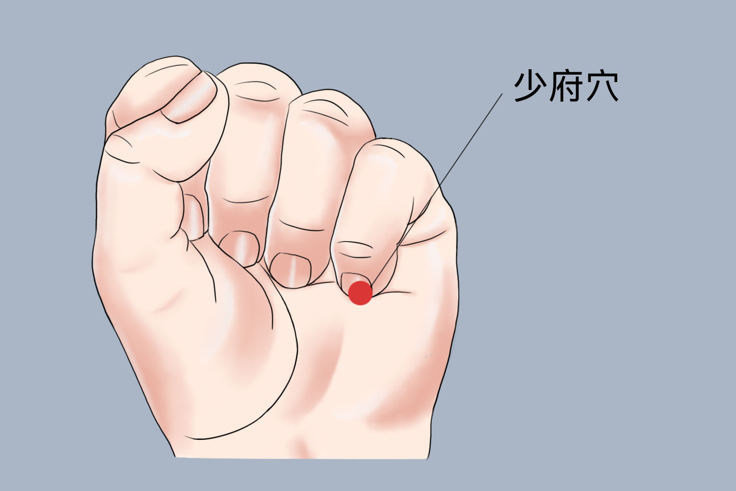 手上少府穴取穴图