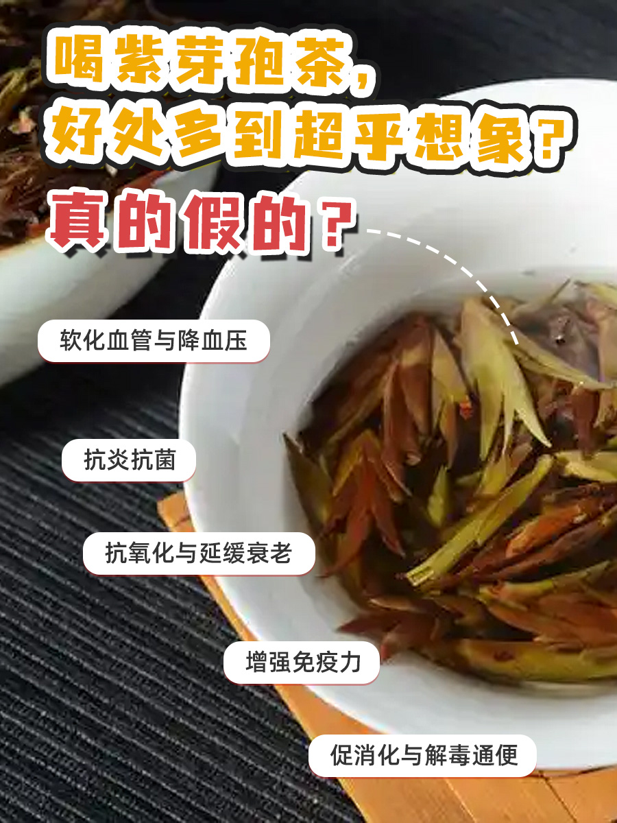 喝紫芽孢茶，好处多到超乎想象？真的假的？