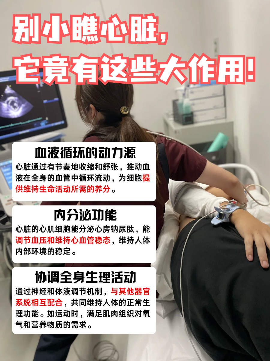 别小瞧心脏，它竟有这些大作用！