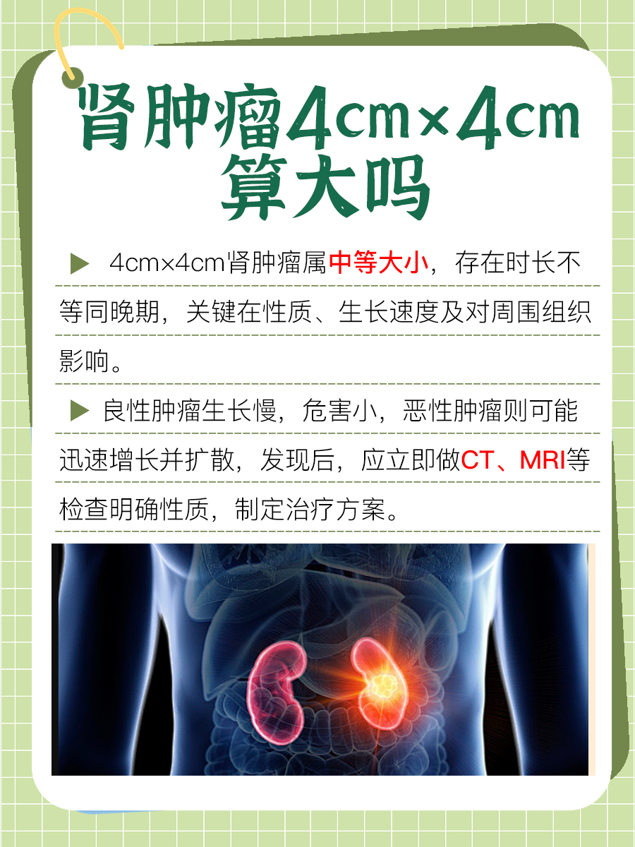 带你了解,肾肿瘤4cm×4cm算大吗?