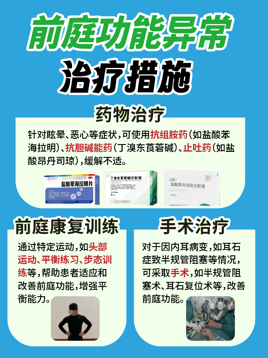 身体的平衡大师:前庭功能全解析