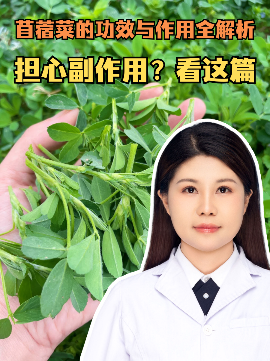 苜蓿菜的功效与作用全解析，担心副作用？看这篇