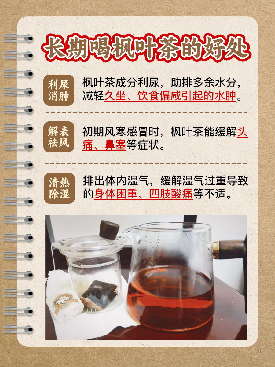 枫叶茶日常饮，益处多多不间断