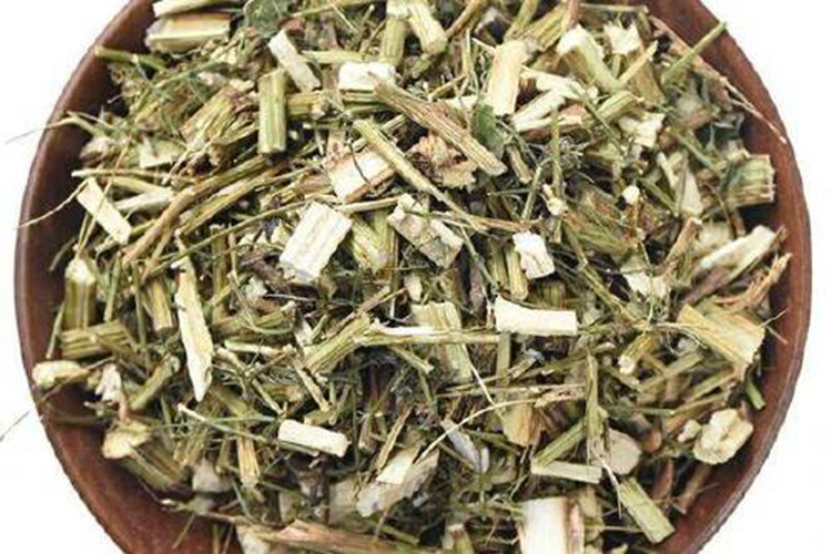 青蒿草图片大全_有来医生