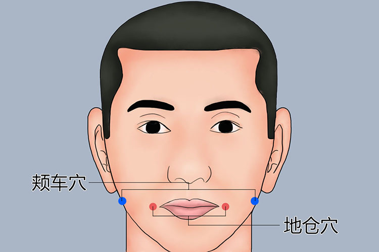 地仓穴、颊车穴位置图