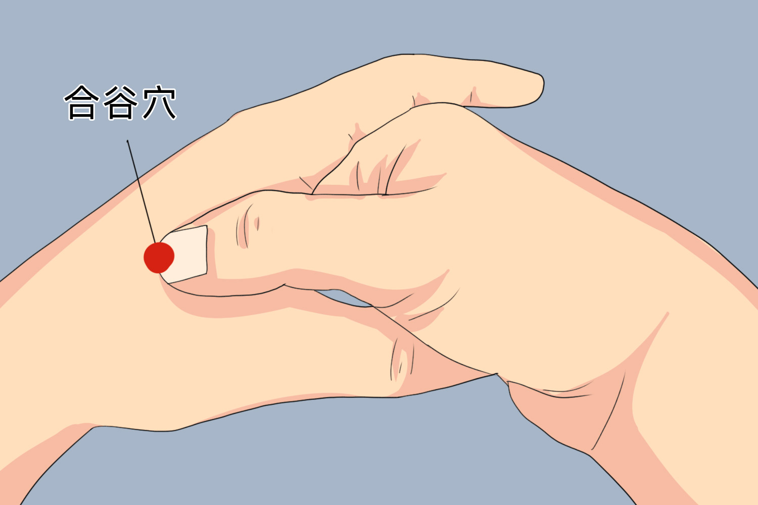 合谷穴图