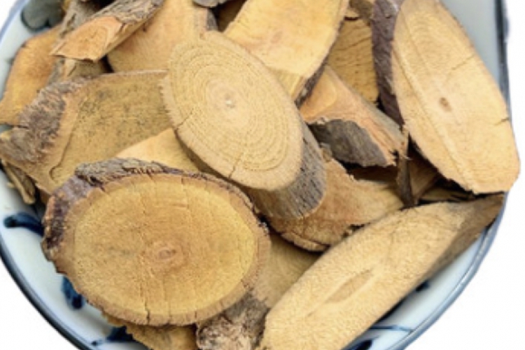 老鼠藤根药材图 老鼠藤根药材图