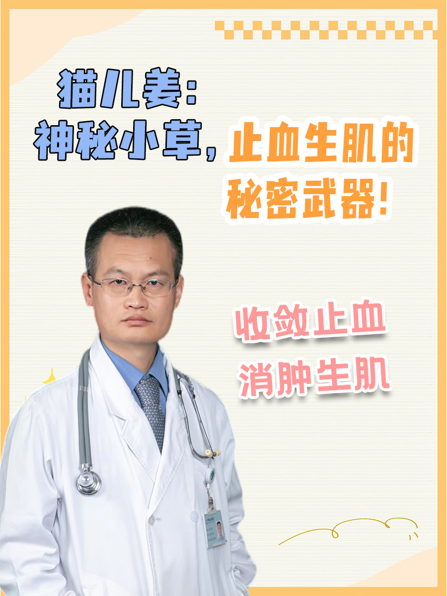 猫儿姜：神秘小草，止血生肌的秘密武器！