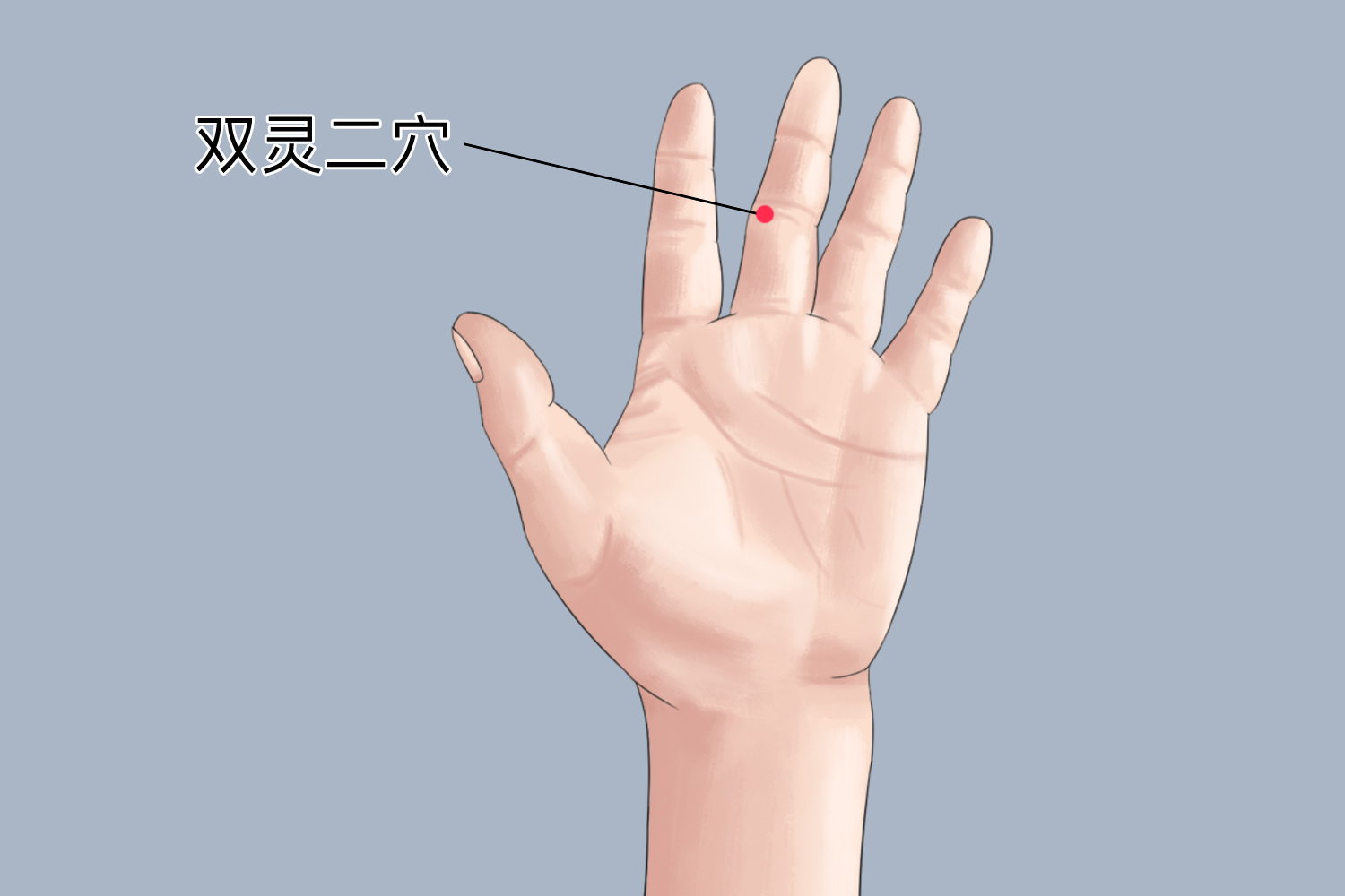 双灵二穴图 双灵二穴图