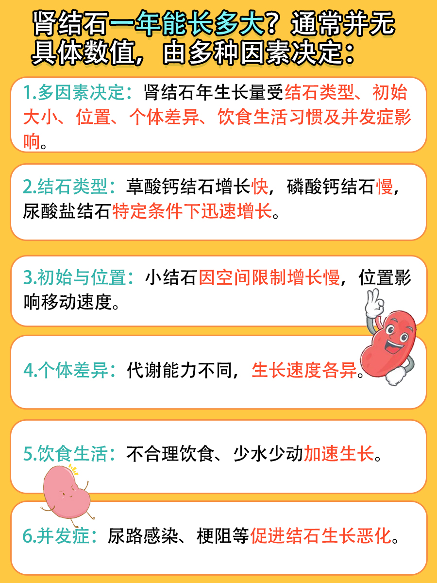 揭秘肾结石生长速度:一年能长多大?
