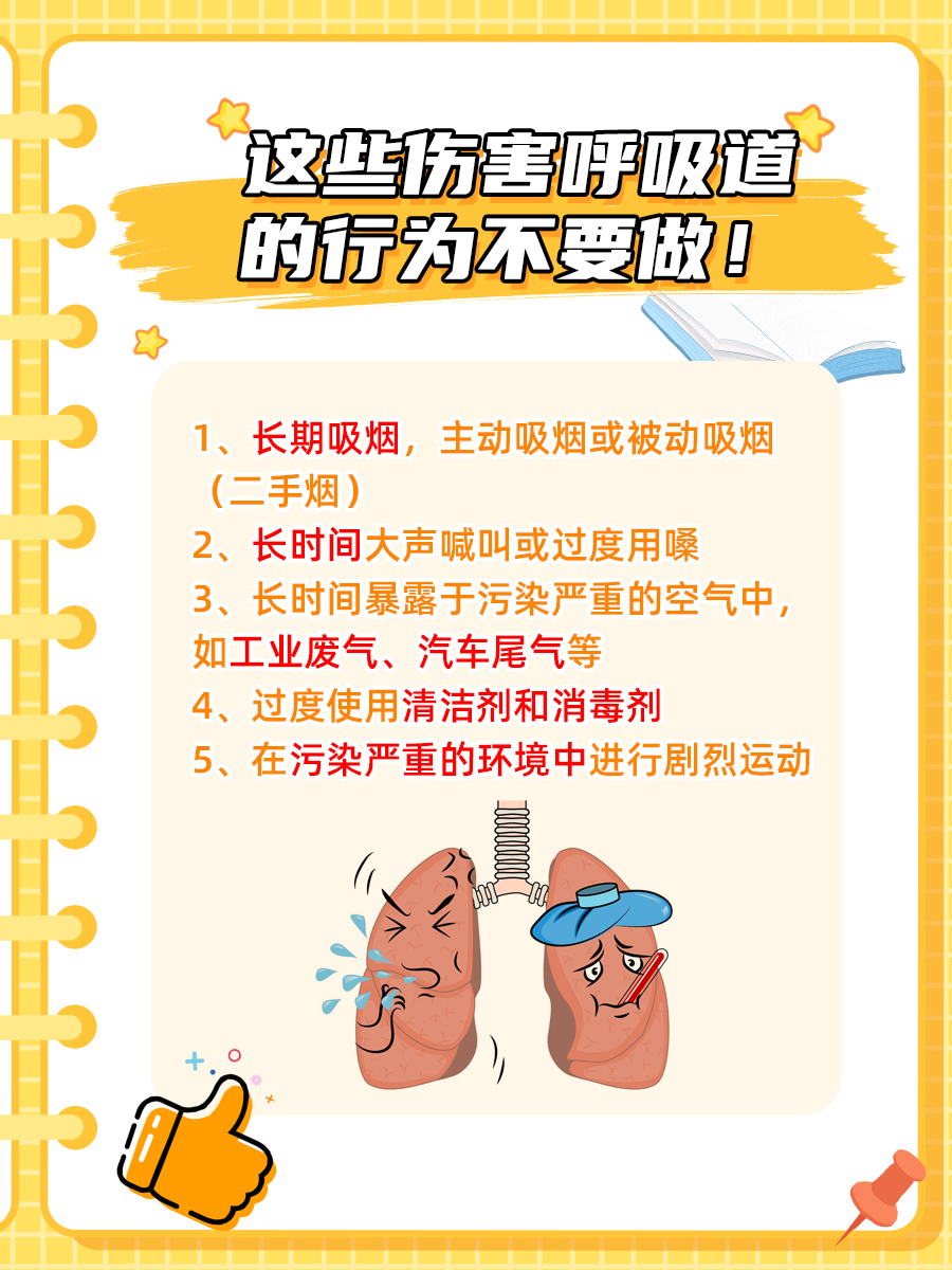 上呼吸道与下呼吸道的区别：读懂你的呼吸系统