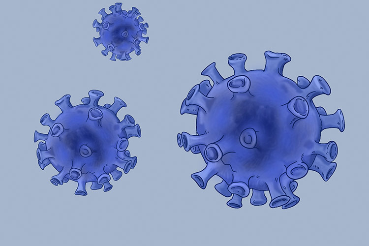 新型冠状病毒图