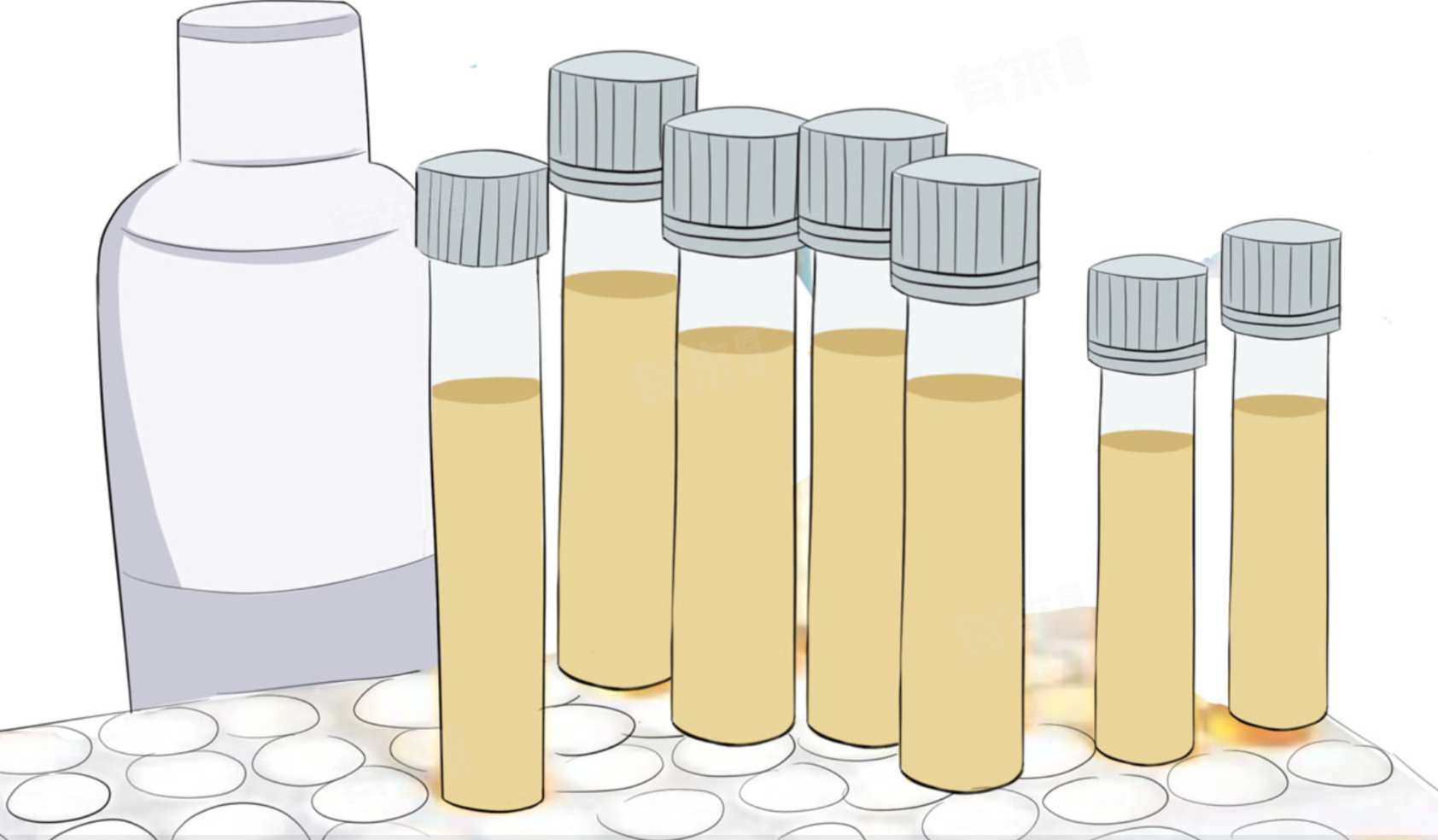 尿常规维生素C+-什么意思-有来医生