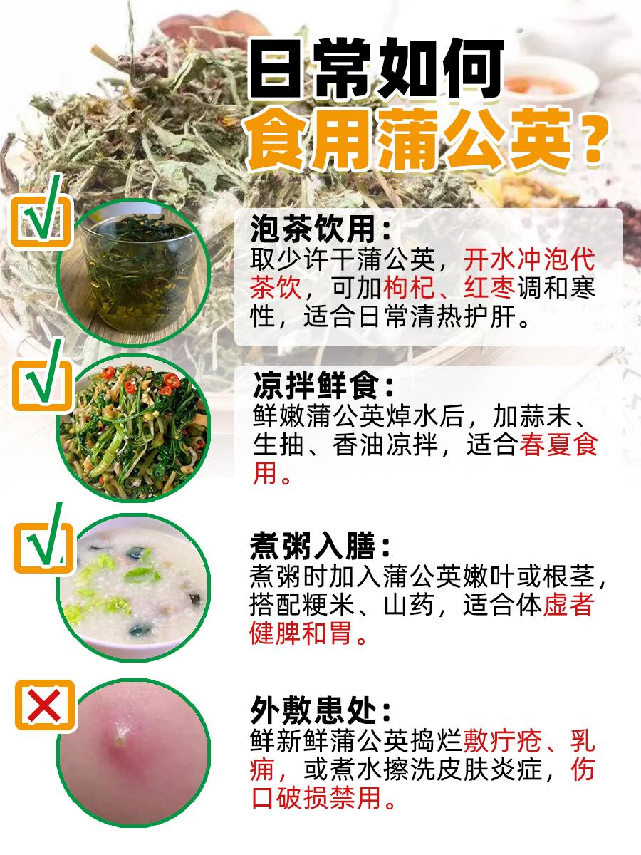 蒲公英的这些功效与作用！看完涨知识