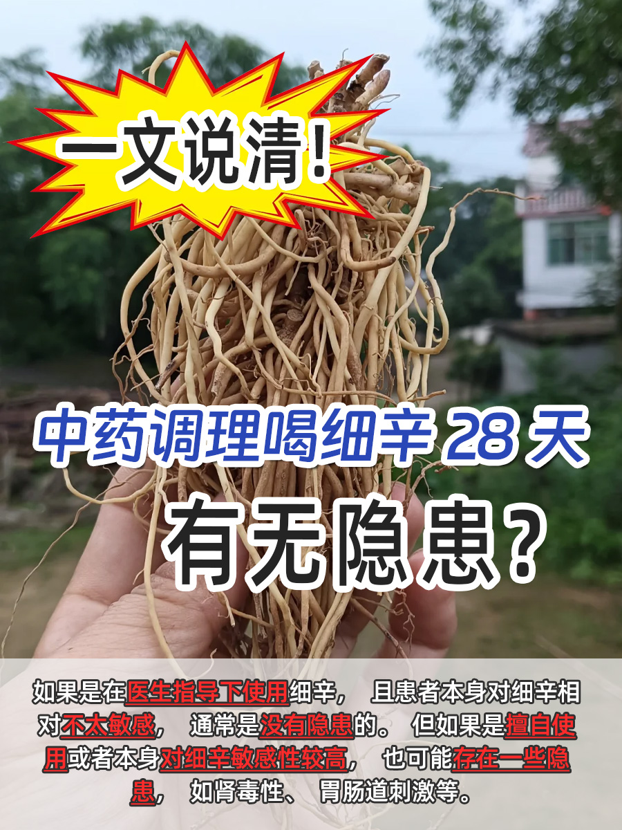 一文说清！中药调理喝细辛28天有无隐患？
