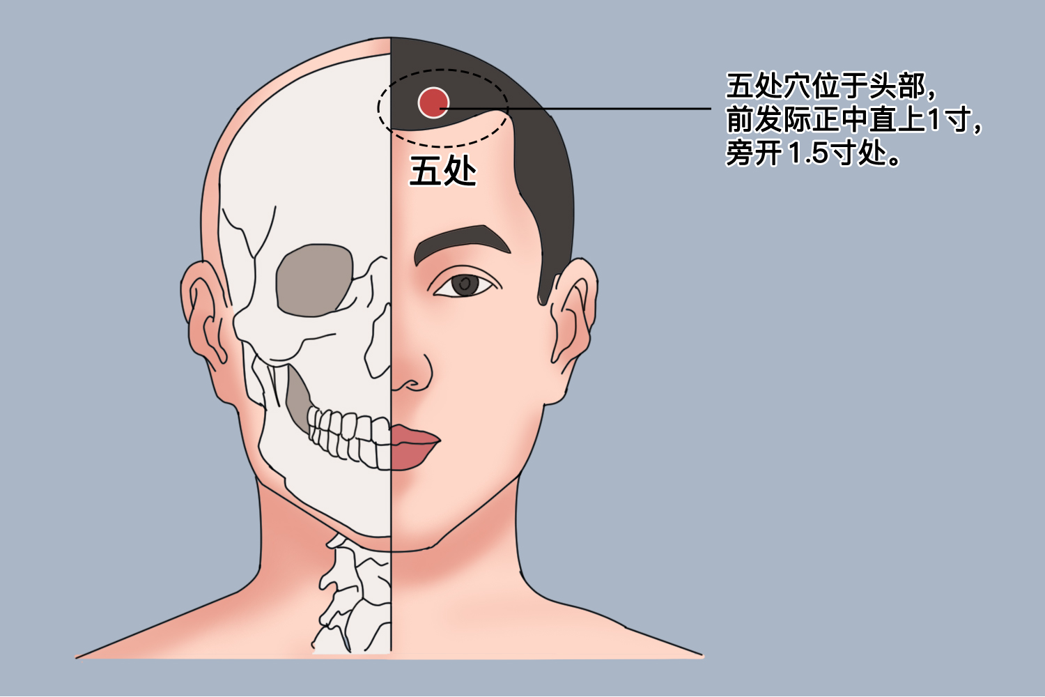 五处穴位置图 五处穴位置图