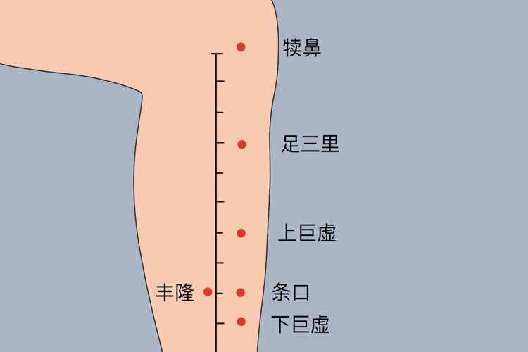 足三里位置图