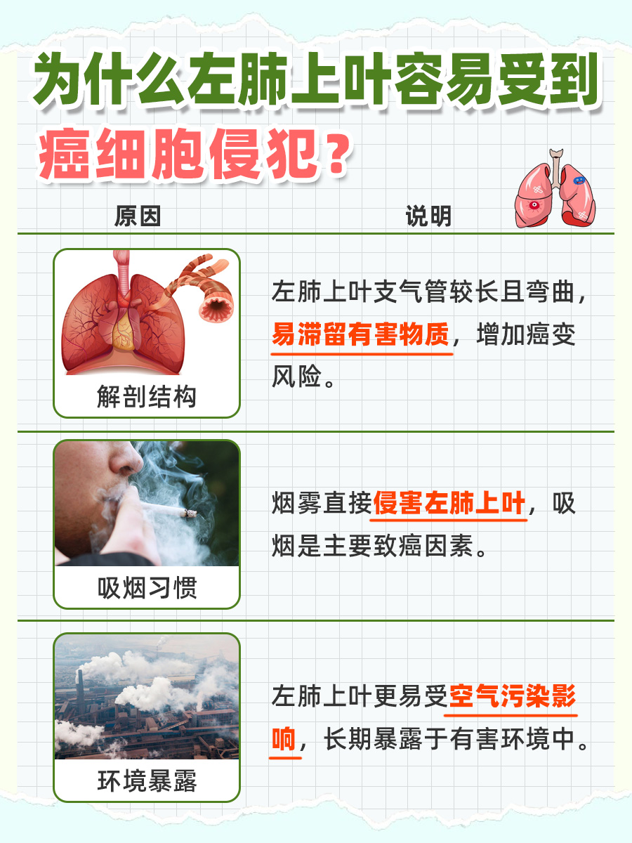 对于左肺上叶，为何更易受肺癌侵扰？