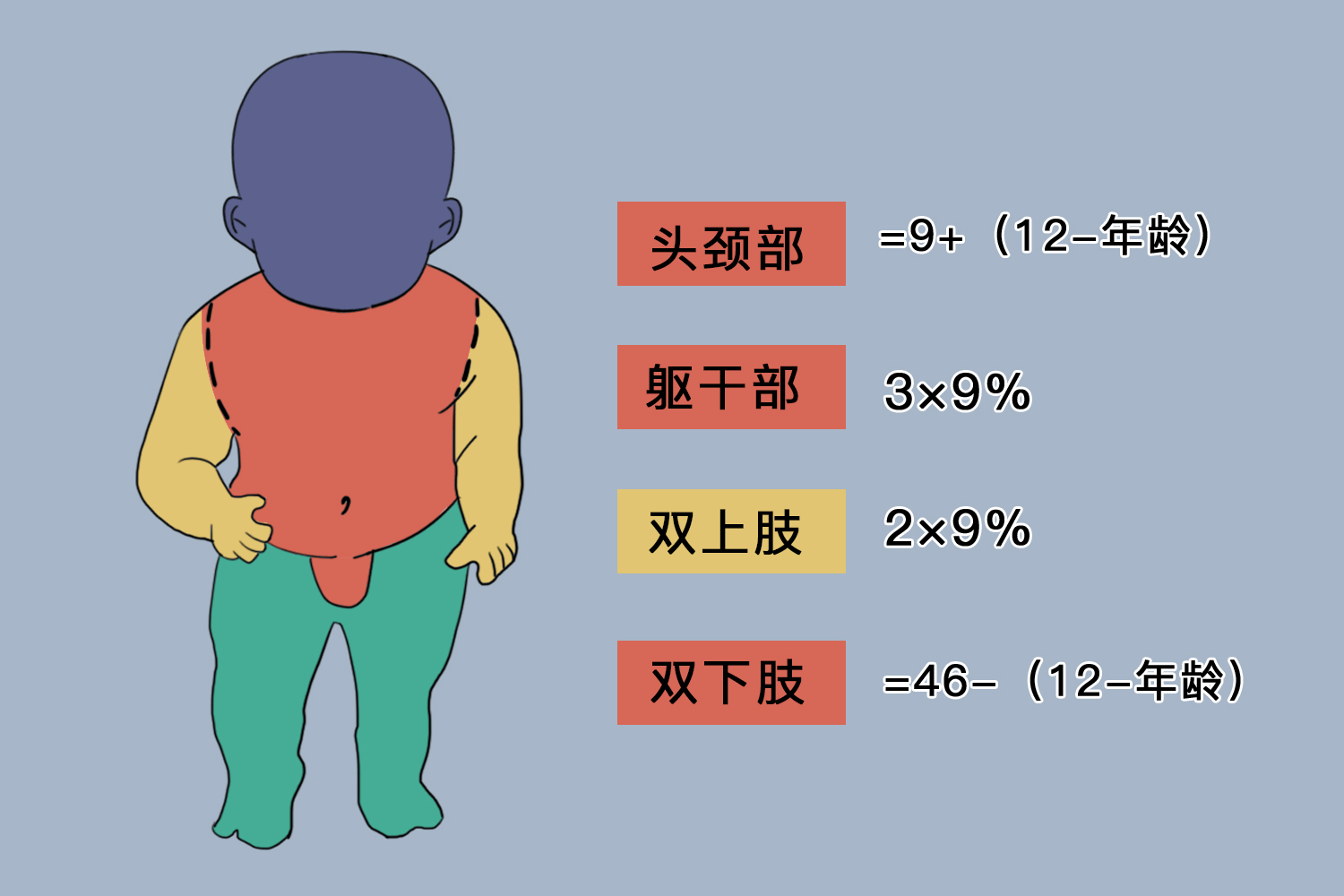 烧伤9分法图片图片