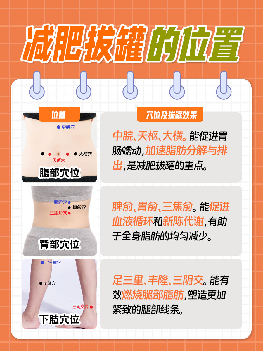 减肥拔罐的位置图